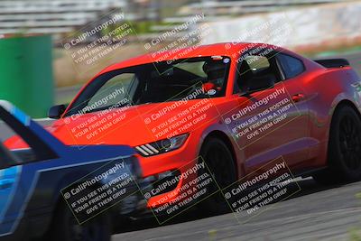 media/May-14-2023-Cobra Club (Sun) [[e55caaa618]]/Red Group/Morning Session Turn 4/